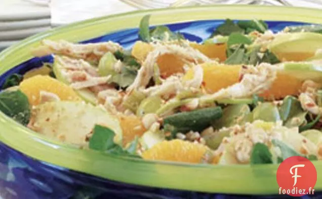 Salade de poulet et de pommes