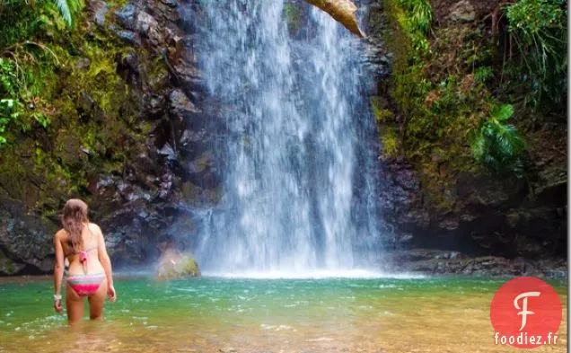 Pizza Caprese et Salade de Framboises et de Noix Gorgonzola