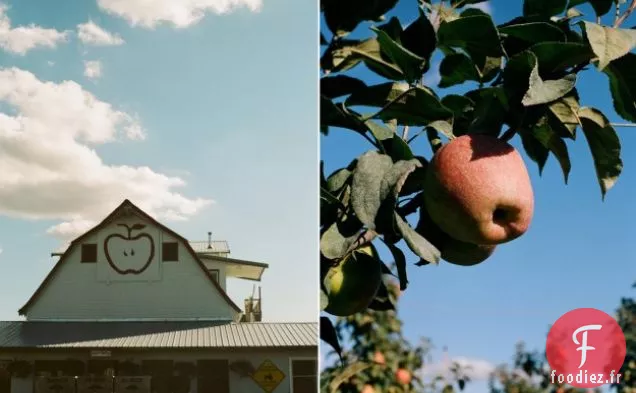 Pommes Rôties