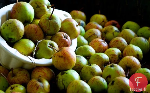 Gelée de Pommes de Haies Sauvages