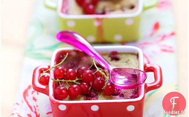 Clafoutis aux Groseilles Rouges et Abricots