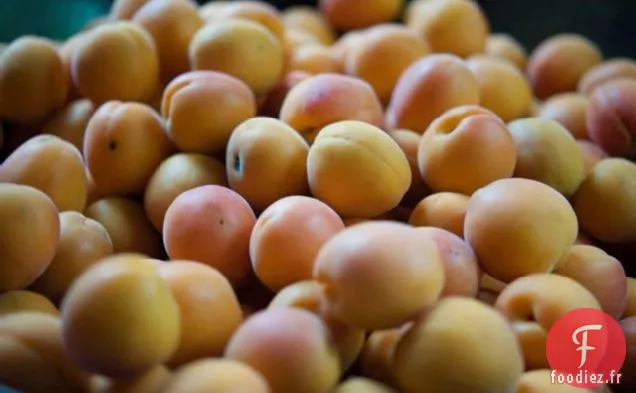 Confiture d'Abricots