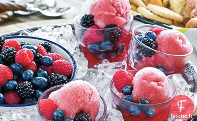 Sorbet au Vin de Mûre