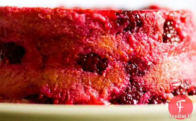 Berrylicious Pudding