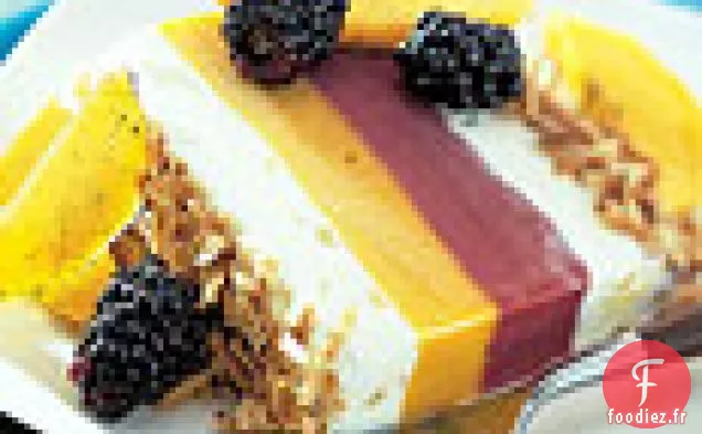 Terrine Tropicale Congelée à la Sauce Mangue-Mûre