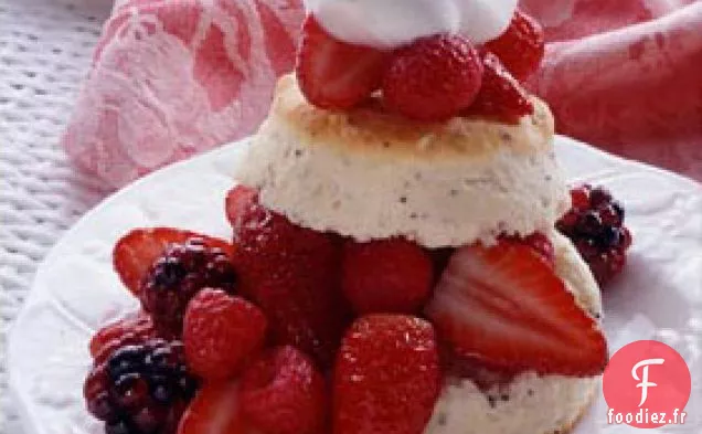 Shortcake aux Baies Mélangées