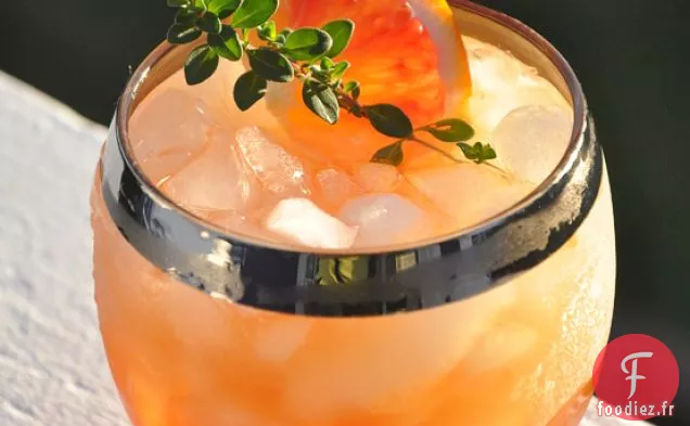 Recette de Cocktail à l'Orange Sanguine