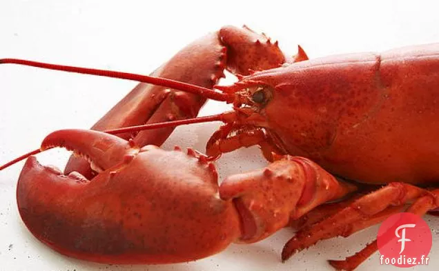 Homard Frais avec Salade de Pommes de Terre-Orange Sanguine et Citron Vert