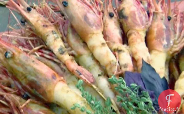 Crevettes Grillées de Santa Barbara avec Glaçage à l'Orange Sanguine