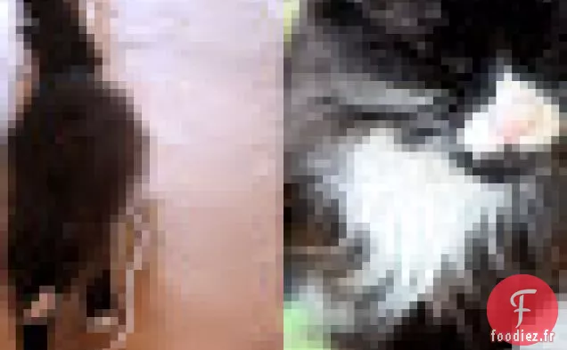 Gâteau aux Myrtilles Spontané