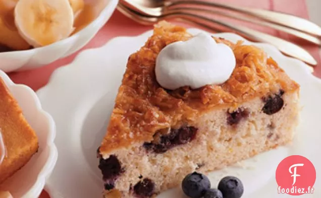 Gâteau Aux Myrtilles Avec Garniture À La Noix De Coco