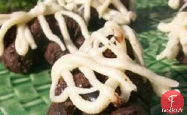 Bleuets Enrobés De Chocolat