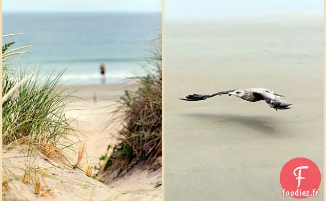 Tartelettes à l'Estragon aux Bleuets Sauvages, Croûte Sucrée à l'Huile d'Amande