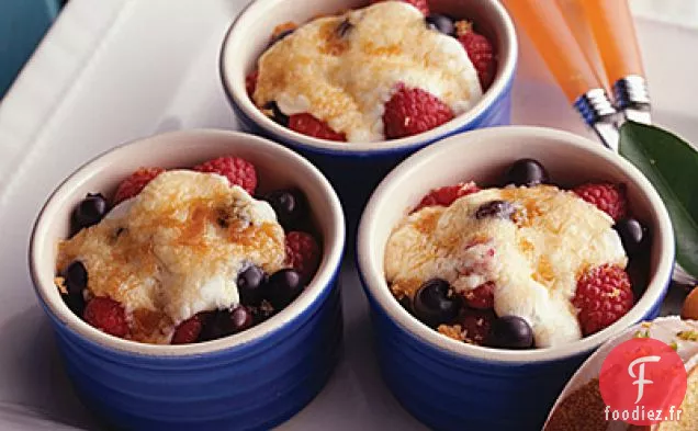 Grill aux Bleuets et Framboises