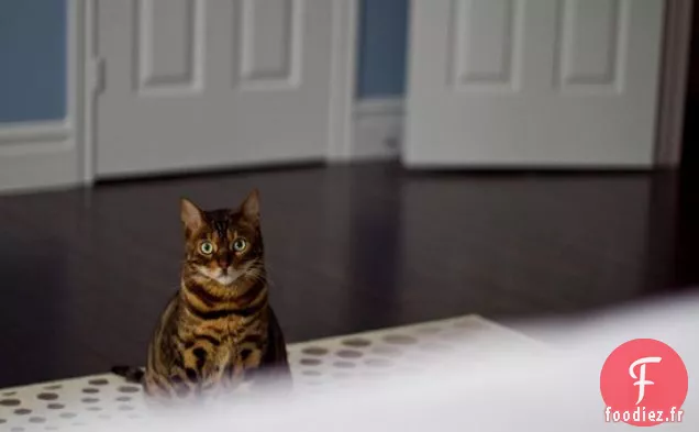 Crêpes Empilées À La Gousse De Vanille Aux Myrtilles Avec Glaçage Aux Myrtilles