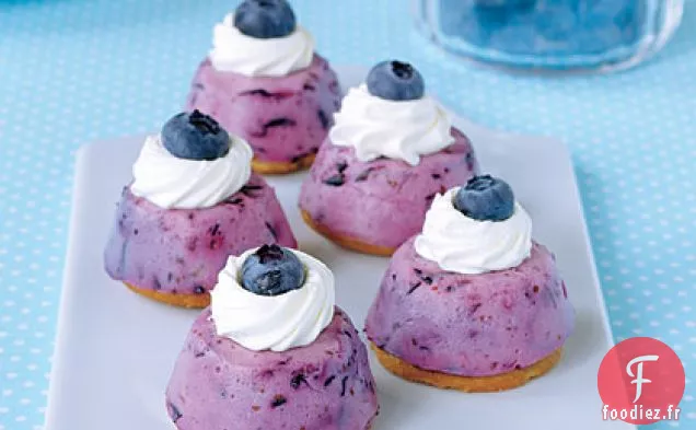 Gâteaux au Fromage Miniatures aux Bleuets