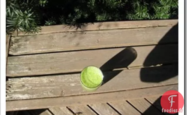 Monstre Vert Cantaloup