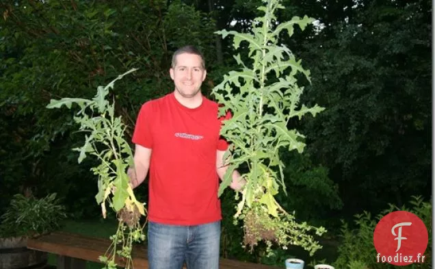 Le Mélange Incroyable d'Aujourd'Hui