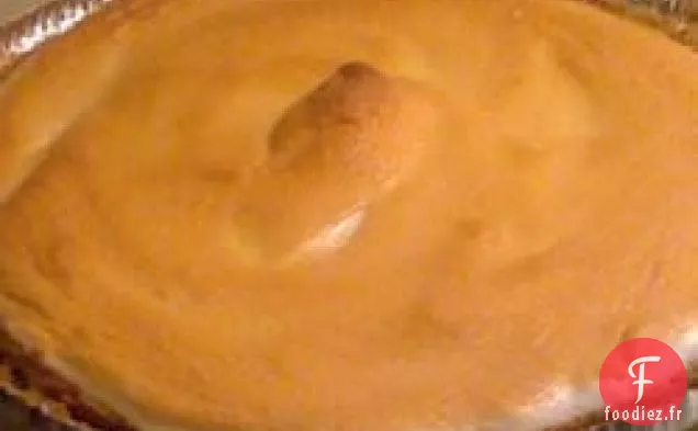 Sorbet au Cantaloup