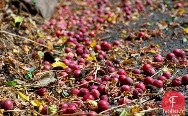 Recette de Cordonnier aux Cerises