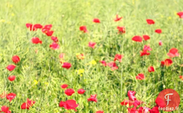 Amandines aux Cerises
