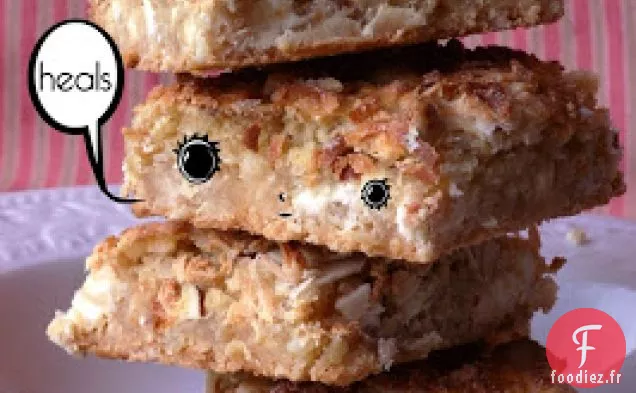Barres à Biscuits aux Copeaux Blancs de Noix De Coco