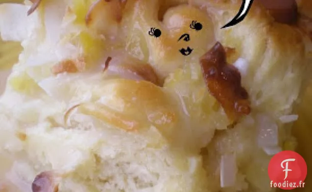 Spirales de coquille de conque de noix de coco