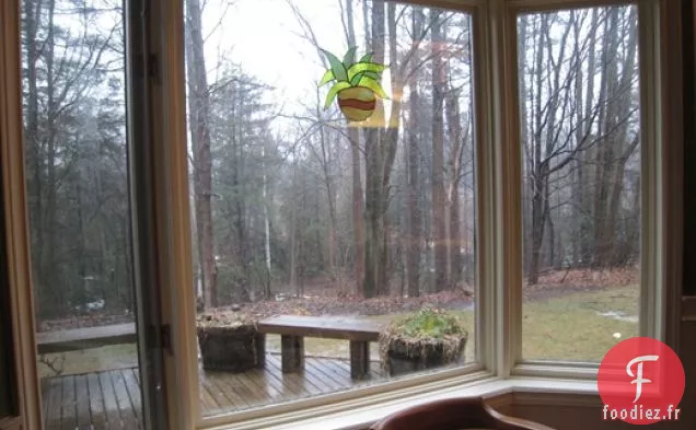 Muffins Tropicaux Au Citron Et à la Noix de Coco