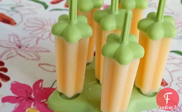 Sucettes Glacées à la Noix de Coco Orange sans Sucre et sans Produits laitiers