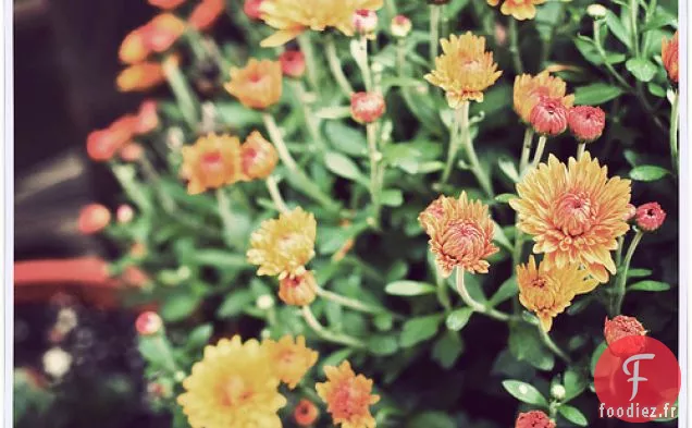 Gâteau Bundt Au Chocolat Et À La Cannelle Avec Glaçage Au Moka