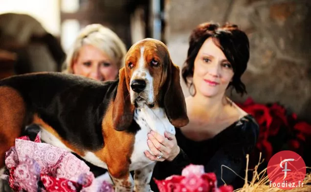 Rouleaux à la Cannelle