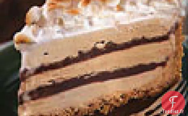 Gâteau à la Crème Glacée au Café et au Fudge S'mores