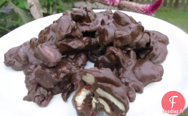 Grappes de Canneberges Au Chocolat Noisette