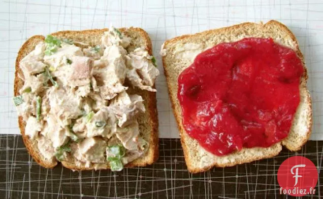 Ketchup aux Canneberges