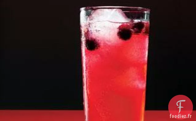 Refroidisseur de Canneberges à la Vodka