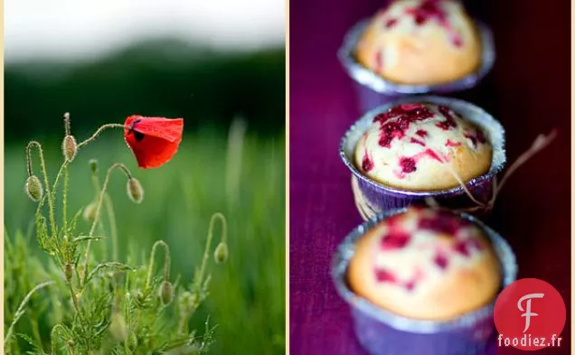 Gâteaux aux Groseilles Rouges