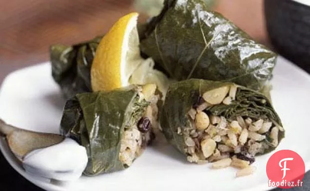 Feuilles de Vigne Farcies de Riz, de Groseilles et d'Herbes