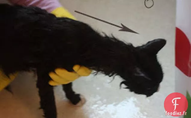 Tartes à la Mangue et au citron vert sans Noix