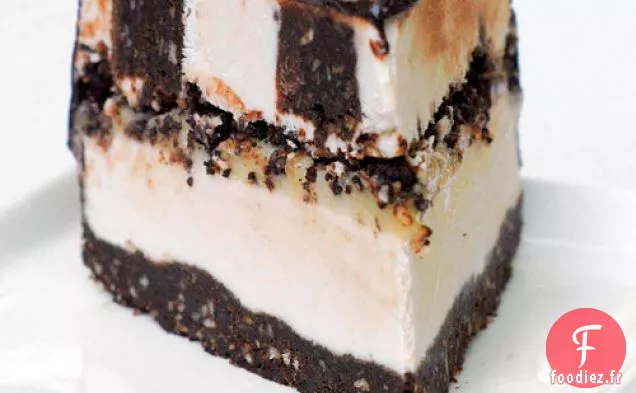 Gâteau à la Crème Glacée Brownie Blizzard de Nicole Axworthy
