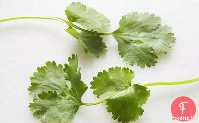 Vinaigrette Épicée à la Coriandre et au Citron Vert