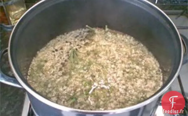 Concentré Cordial de Fleurs de Sureau