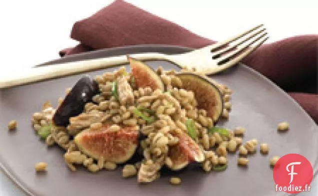 Salade D'Orge, De Poulet Et De Figues
