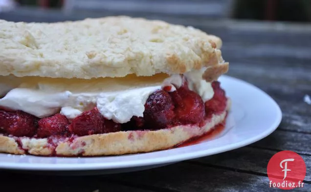 Shortcake Fougueux aux Fraises