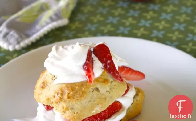 Shortcake Aux Fraises Végétalien À La Crème Fouettée