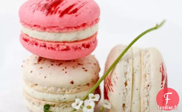 Fraises Et Gousse De Vanille