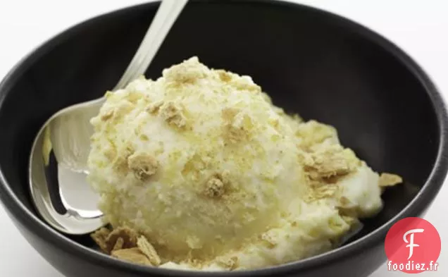Yogourt Glacé À La Mangue Et Craquelins Graham