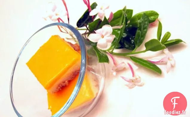 Pudding à la Mangue Magique d'Été