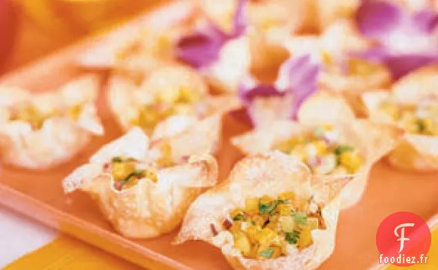 Wontons de Salsa à la Mangue