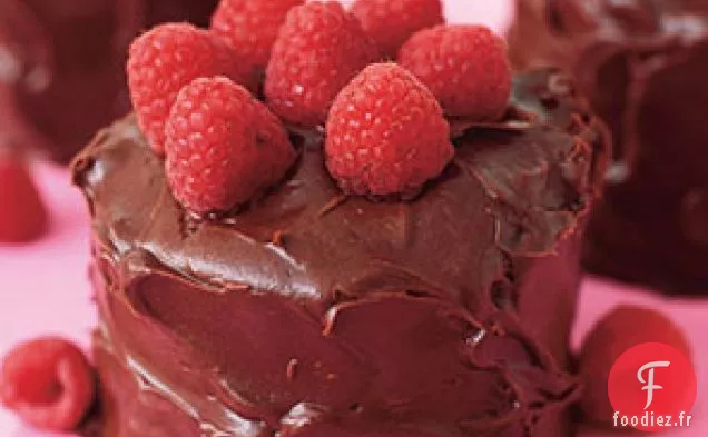 Gâteau aux anges aux framboises et au chocolat