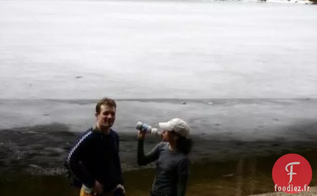 Gâteau Bundt aux Pommes d'Anniversaire de Nicho